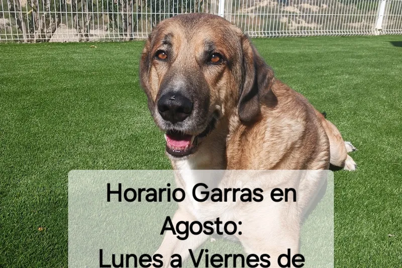CENTRO VETERINARIO GARRAS en Huércal-Overa