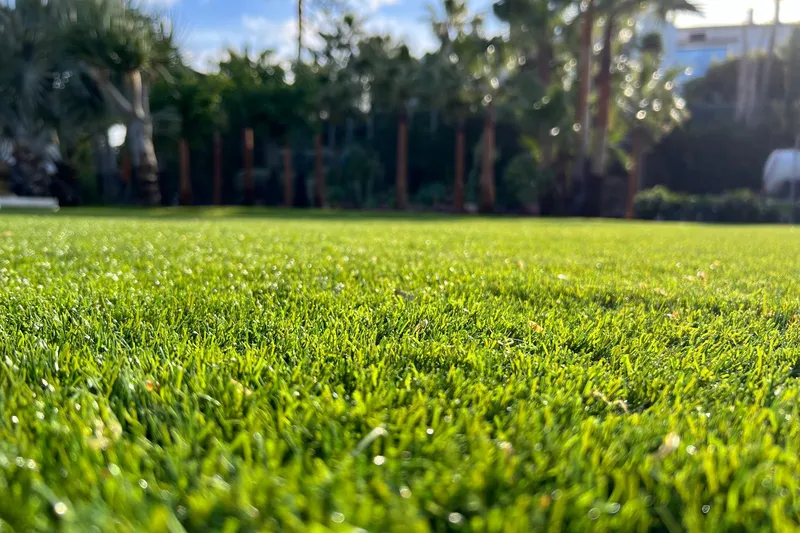 Cesped Artificial Turf en Huércal-Overa