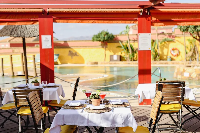 El Club Cocodrilo - The Crocodile Club Restaurante, Piscina, Chiringuito y Pistas Deportivas e Infantiles en Cuevas del Almanzora