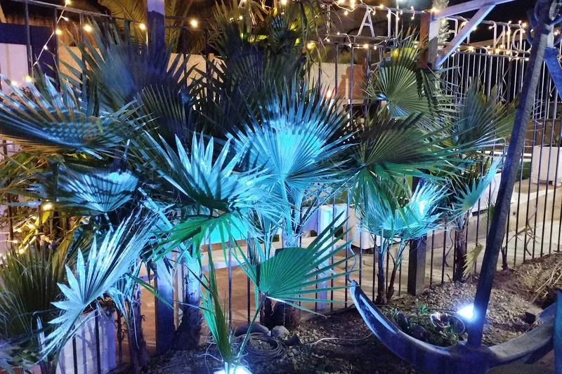 El Jardín de la Pepa en Pulpí