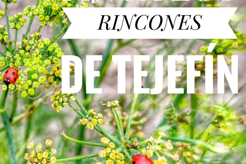 Finca Los Rincones de Tejefin en Cuevas del Almanzora