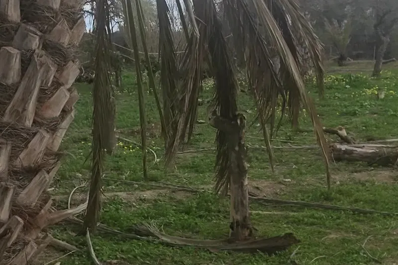 Finca yalico Gamarra en Huércal-Overa
