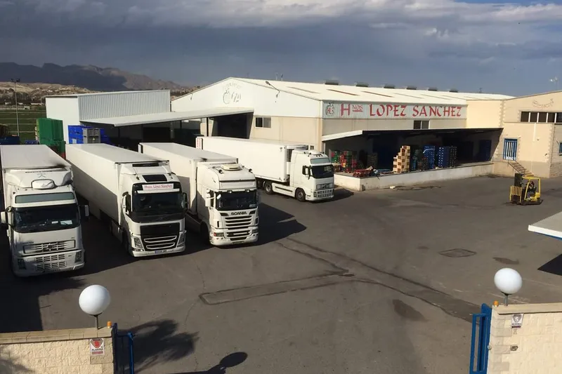 Frutas Hermanos López Sánchez S.L. en Cuevas del Almanzora