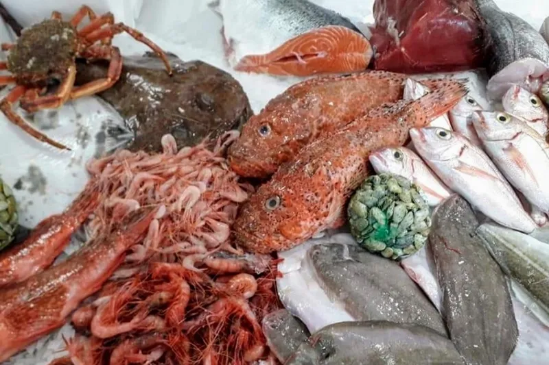 Gamba roja en Cuevas del Almanzora