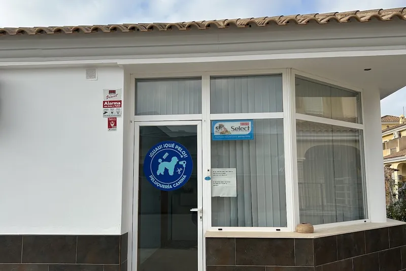 ¡GUAU! QUE PELOS! ( Peluquería Canina ) en Cuevas del Almanzora