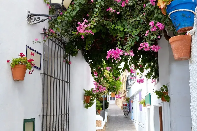 Guía de Almería - Marisol en Cuevas del Almanzora