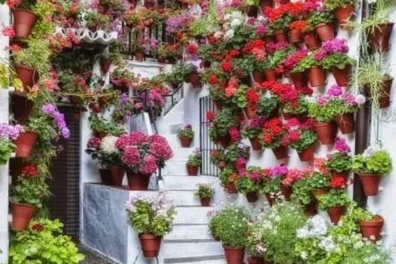 Jardines Mundi SL en Pulpí
