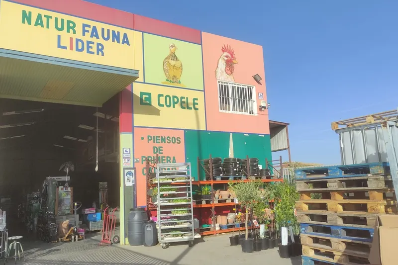 Naturfauna en Huércal-Overa