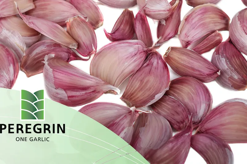 Peregrín One Garlic - Oficinas en Pulpí