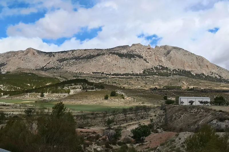 Polígono Industrial de Huércal overa en Huércal-Overa