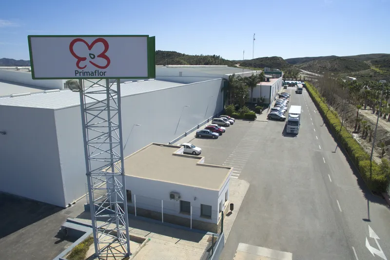 Primaflor Canalejas - Fábrica de ensaladas y oficinas en Cuevas del Almanzora