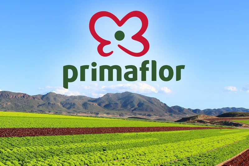 Primaflor oficinas centrales (Mimaflor) en Pulpí