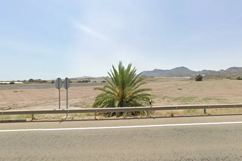 Terreros primaflor en Pulpí