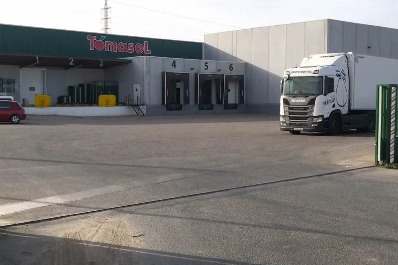 Tomasol en Cuevas del Almanzora