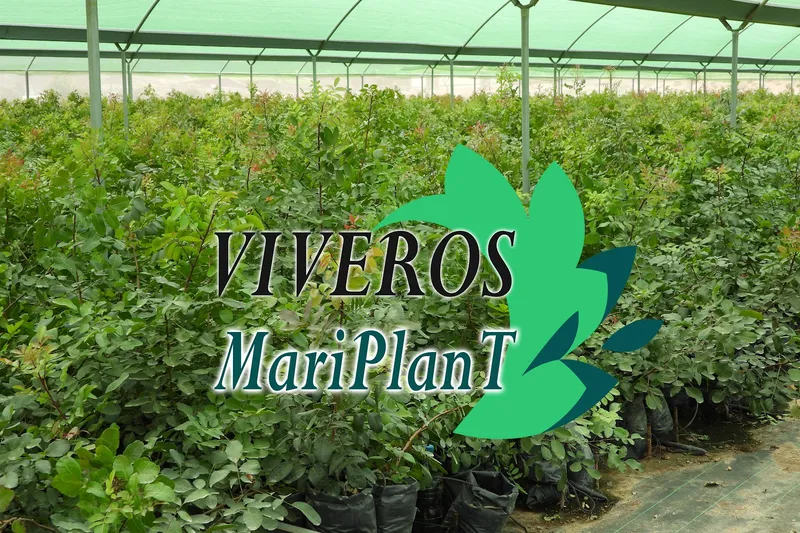 VIVEROS MARIPLANT S.L en Pulpí